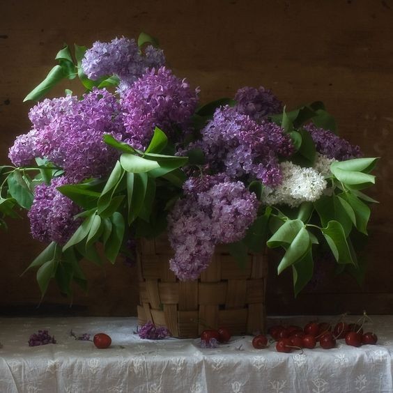 مدل رنگ روغن اورژینال